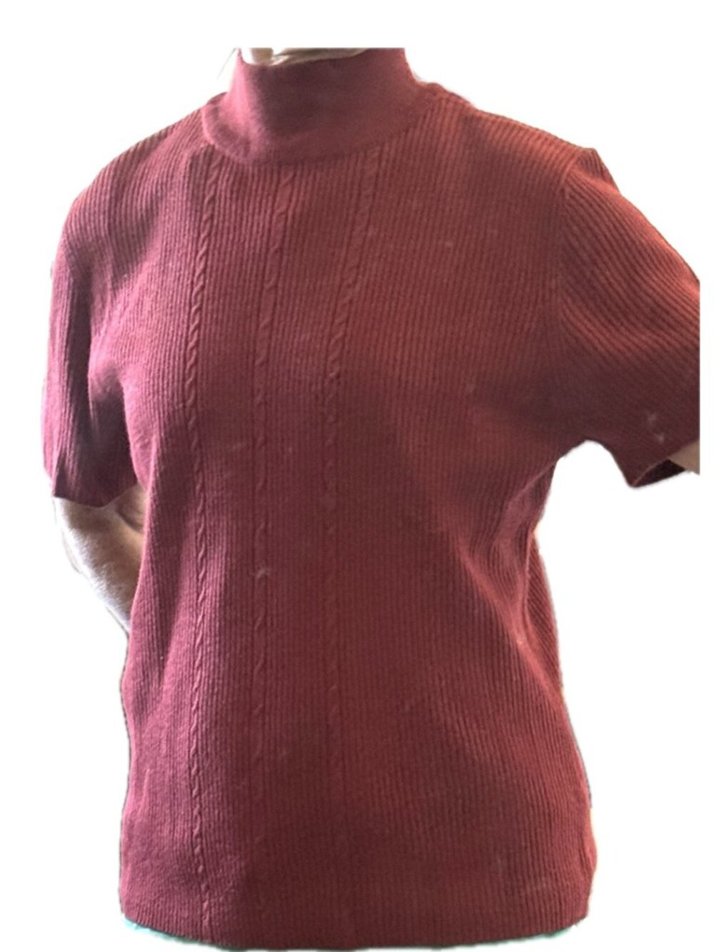 Brick Red Turtleneck Sweater Short Sleeve Sz L Requirements